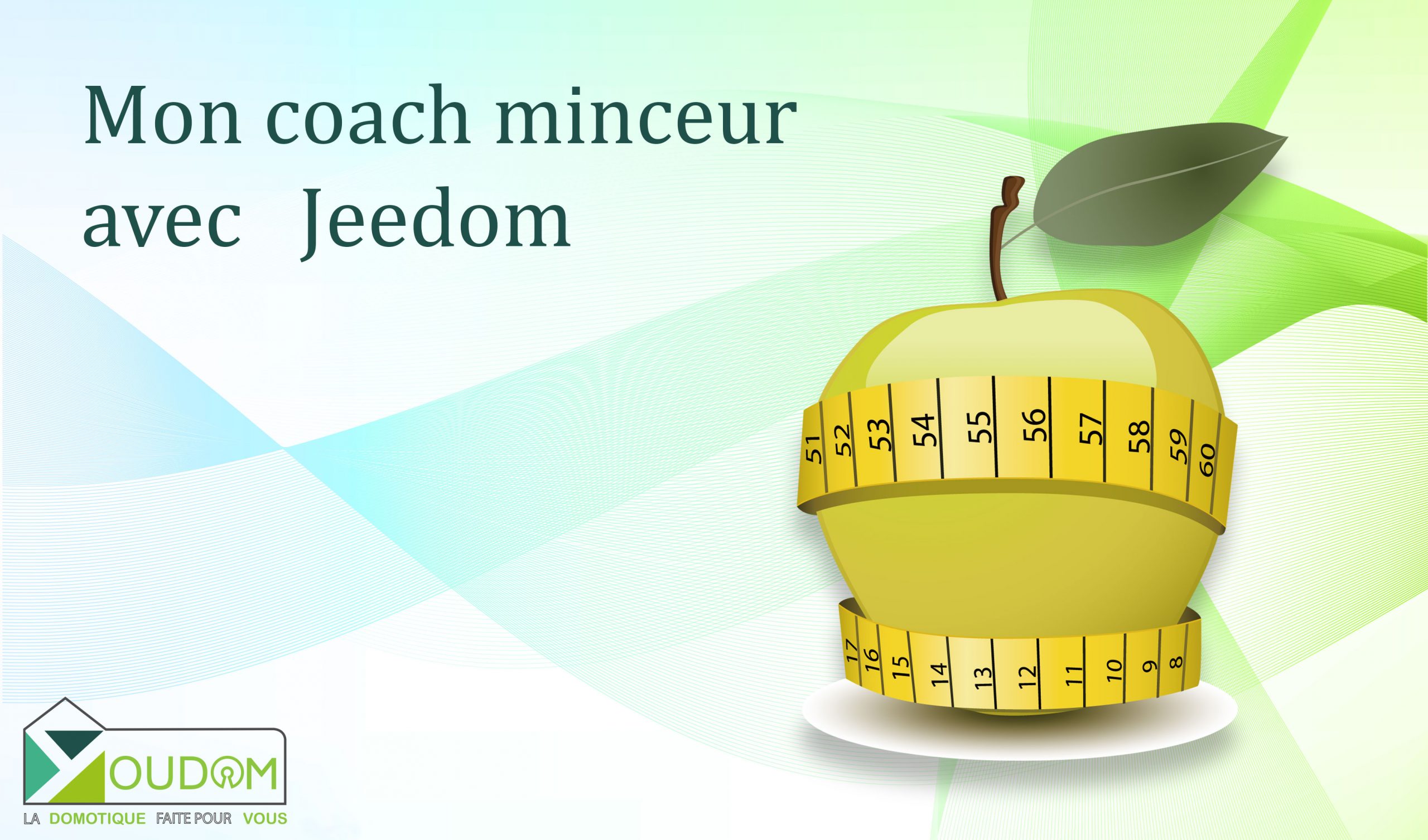 You are currently viewing Mon coach minceur avec Jeedom.